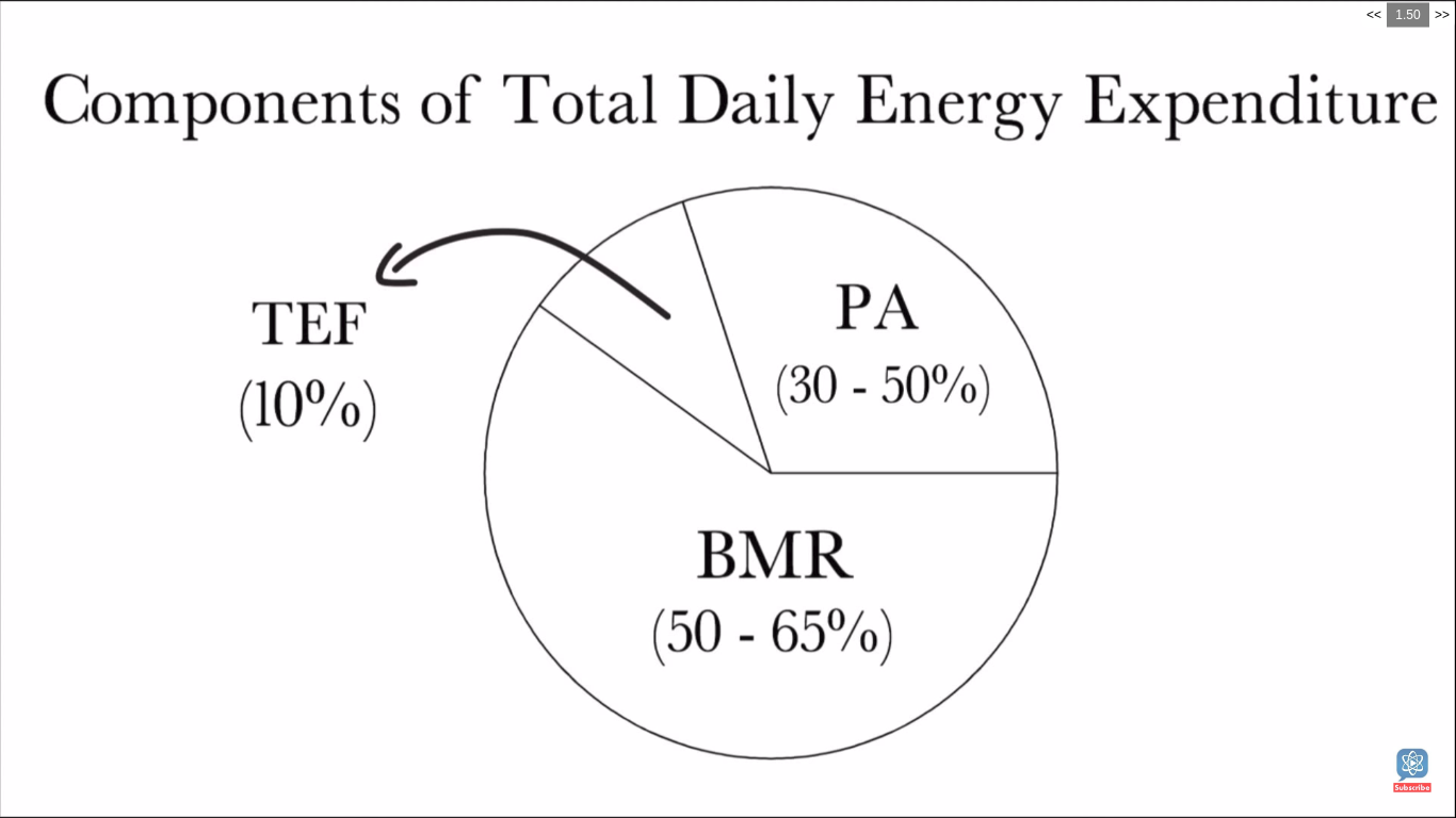 Calories requirnment for functions